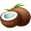 Coconut Illustration icon
