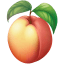 Peach Illustration icon