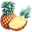 Pineapple Open Illustration icon