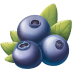 Blueberry-Illustration icon