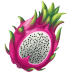 Dragonfruit-Pitaya-Illustration icon