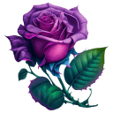 Purple Rose icon