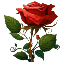 Red Rose 3 icon