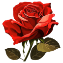Red Rose Blossom icon