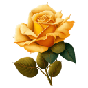 Yellow-Rose icon