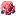 Pink Rose 3 icon