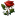 Red Rose 3 icon