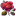 Wildrose icon