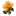 Yellow Rose icon