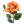 Orange Rose icon