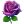 Purple Rose Blossom icon