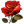 Red Rose Blossom icon
