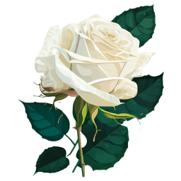 White Rose icon