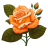 Orange Rose 2 icon