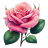 Pink-Rose icon