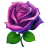 Purple-Rose-Blossom icon