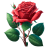 Red-Rose icon
