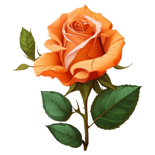 Orange-Rose icon
