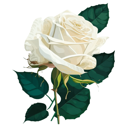 White-Rose icon