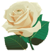 White-Rose-3 icon