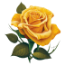 Yellow-Rose-2 icon