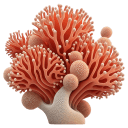 Coral-1 icon