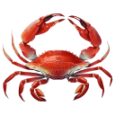 Red-Crab icon
