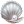 Shell with Pearl icon