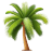 Palm-Tree icon