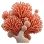 Coral 1 icon