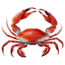 Red-Crab icon