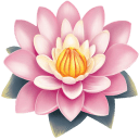 Flower Water Lily icon