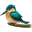 Bird Kingfisher icon