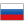 Russian Federation icon