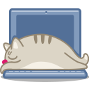 Cat laptop icon