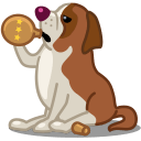 Dog saint bernard icon