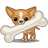 Dog-chihuahua-bone icon