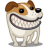 Dog russel grin icon