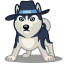Dog haski icon