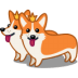 Dog-corgi icon