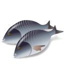 Fish-Dorada icon