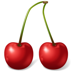 Fruit Cherry icon