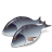 Fish Dorada icon
