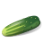 Vegetable-Cucumber icon