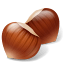 Nut Hazelnut icon