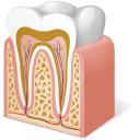 Body-Tooth-Anatomy icon