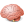 Body-Brain icon