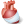 Body Heart Injury icon
