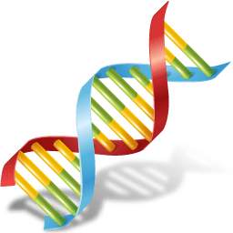 Body DNA icon