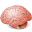 Body-Brain icon